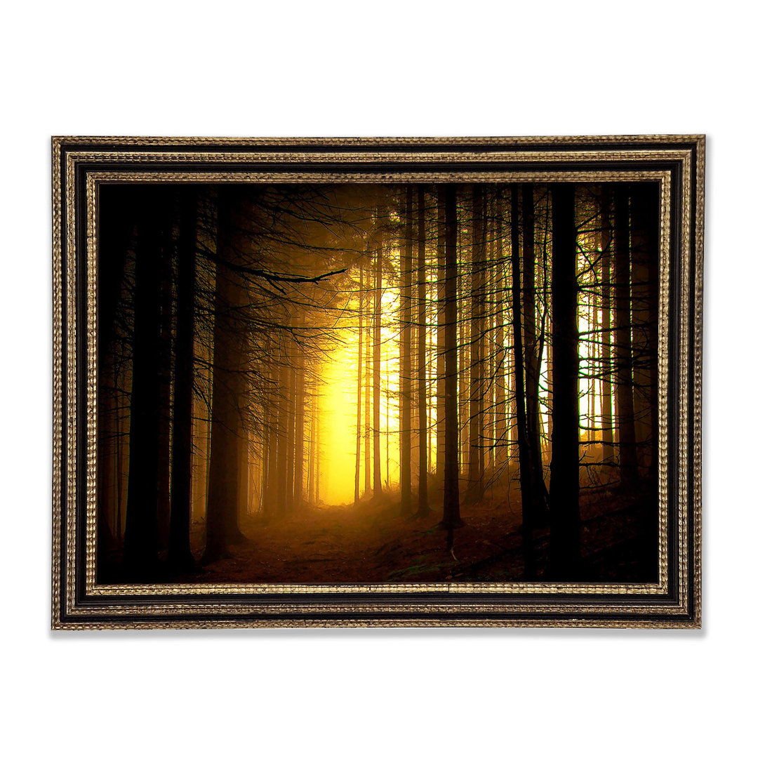 Golden Forest Light Gerahmter Druck