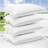 Beyonce Down Alternative Medium Pillow-615390979