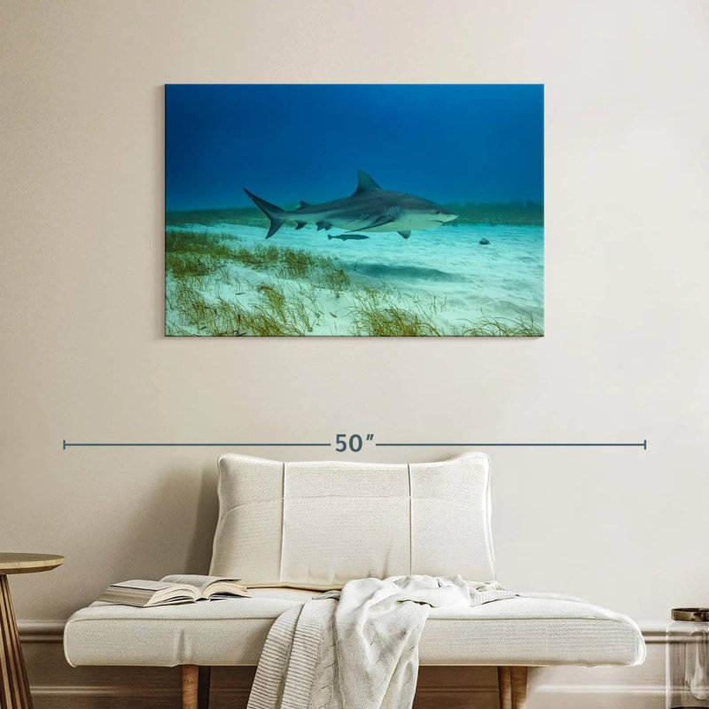 Brampt Bull Shark Habitat, 26" H x 39" W
