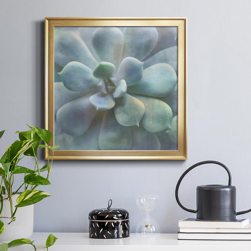Soft Succulent II - peinture sur toile encadrée, Cadre doré, H 34,5 po x l 34,5 po x P 1,5 po