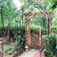 Arche de jardin treillis pour plantes - thermolaquée, 14,97 po Large, en métal noir,