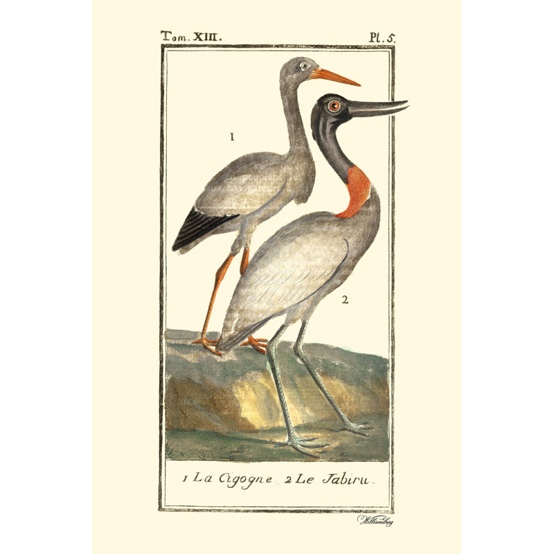 Buffon Cranes And Herons I by Buffon - No Frame Painting on Canvas, 20cm H x 30cm W