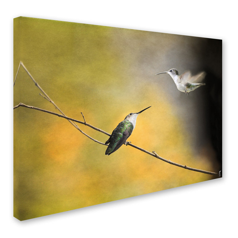 Vidur «Whisper of Your Wings Hummingbirds», impression sur toile tendue, H 18 po x l 24 po