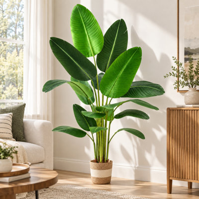 70.8 " H Faux Banana Leaf Plant in Plastic Planter