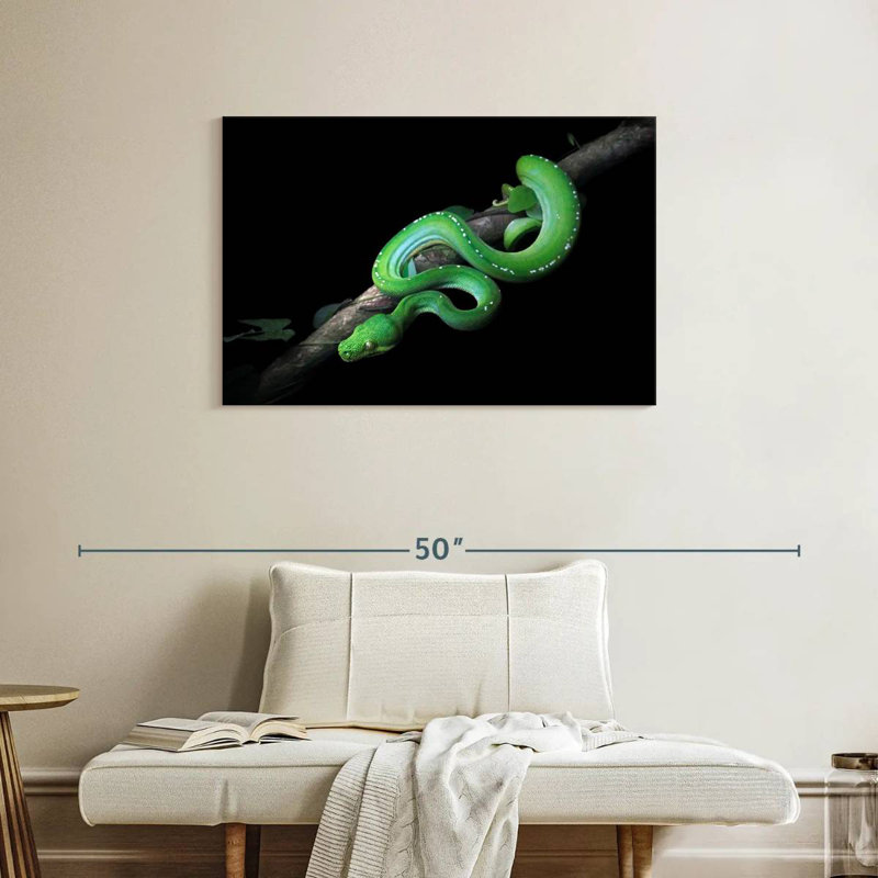 Brampt Green Python Slithering On A Branch, 24" H x 36" W