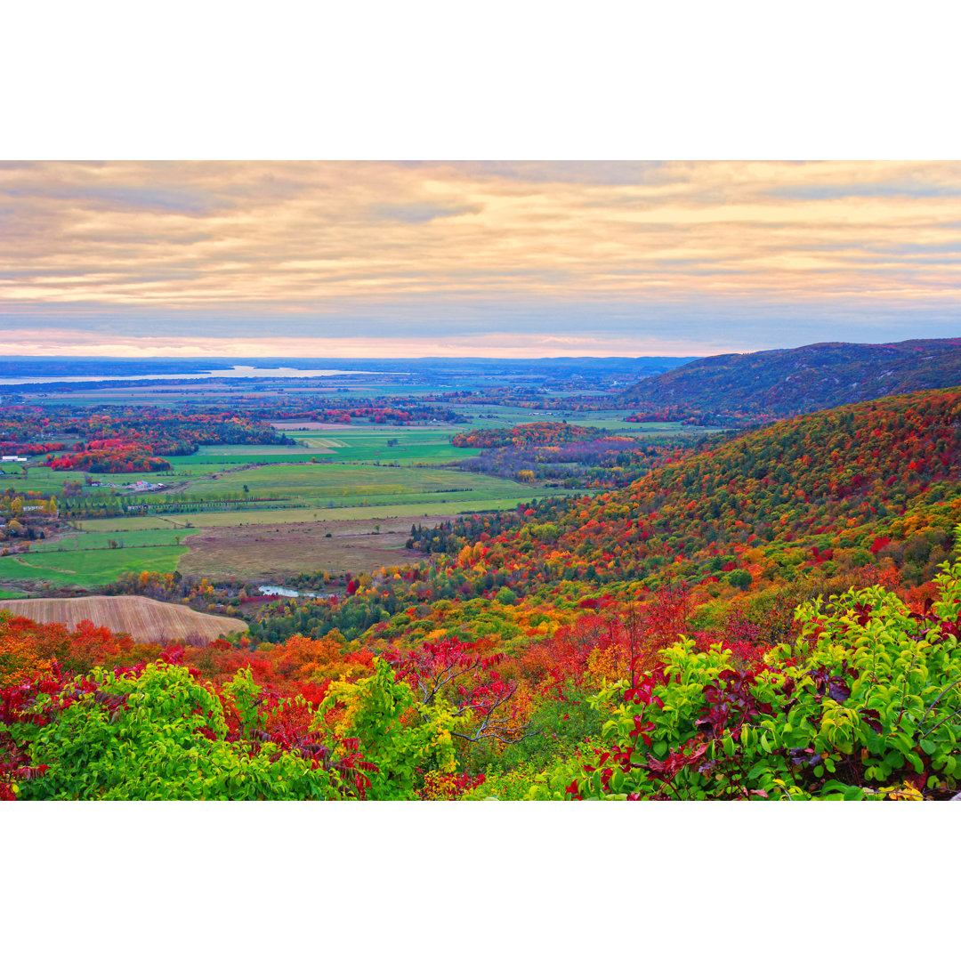 Gatineau Park von Orchidpoet - Druck