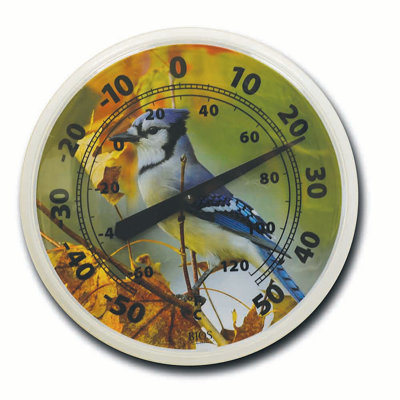 Thermomètre à geai bleu