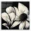 «Flowers Black White 30» par Ray Heere-1711714554