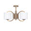 Gossman 3 - Light Shaded Chandelier