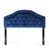 Velours bleu marine est en rupture de stock