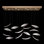 Elevate 8 - Light Kitchen Island Pendant