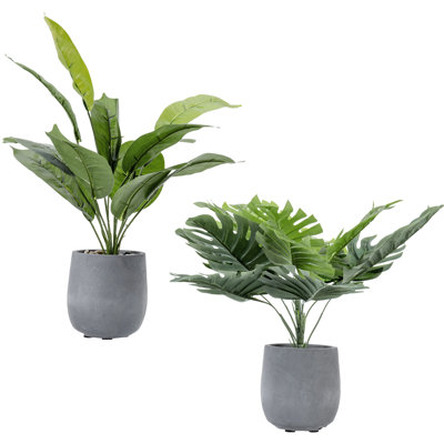 2 - Piece Artificial Monstera and Banana Leaf Plant in Pot Set