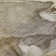 Premium Machine Washable Cerrito AMF500 Taupe Rug