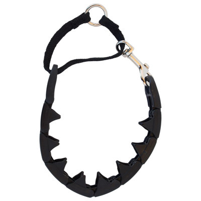Pro-Training Dog Collar Large