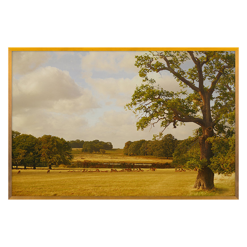 Bucolic Print by Kate Woodman, 24" H x 36" W