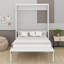 Lit escamotable double avec 2 tiroirs, armoire murale compacte avec rangement