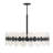  Boca 10-Light Chandelier in Matte Black-1064558180-1064558181