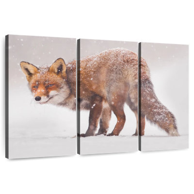 Brampt Snow Fox