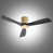 Gold Finish with Black Blades