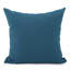 Square Indoor/Outdoor Pillow Cover & Insert-851729730
