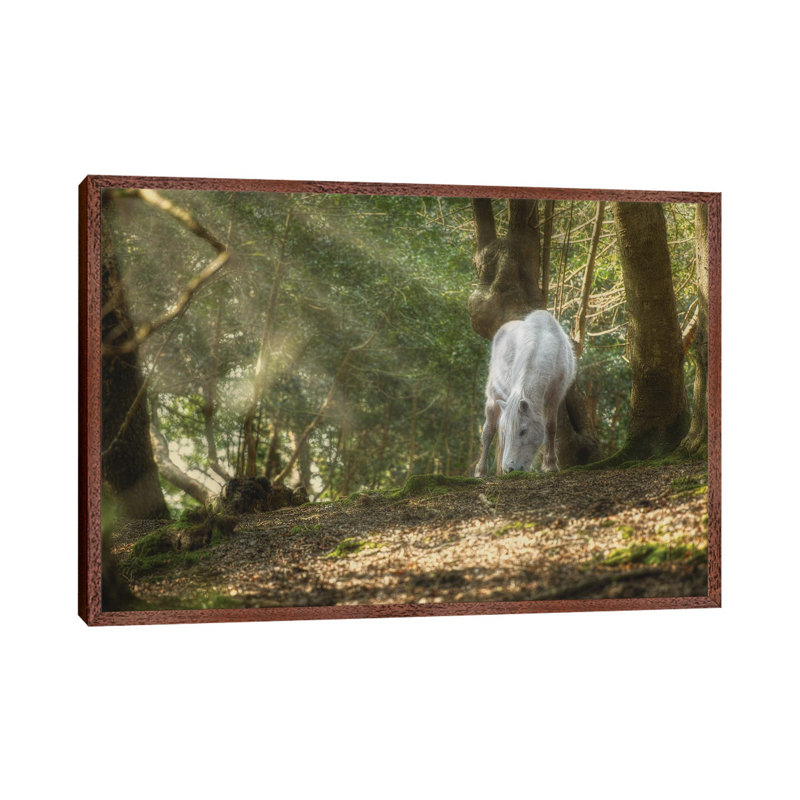 Mystical Pony 1 Piece Wall Art on Canvas, 66.04 cm H x 45.72 cm W, Brown Framed