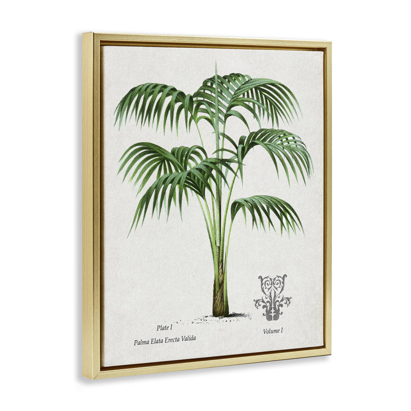 Cadre flottant Natural Palm Study, par Val Rhodes, Cadre flottant métallique doré, H 21 po x l 17 po