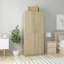 Benefiel 2 Door Manufactured Wood Wardrobe-1430182733-1428049459