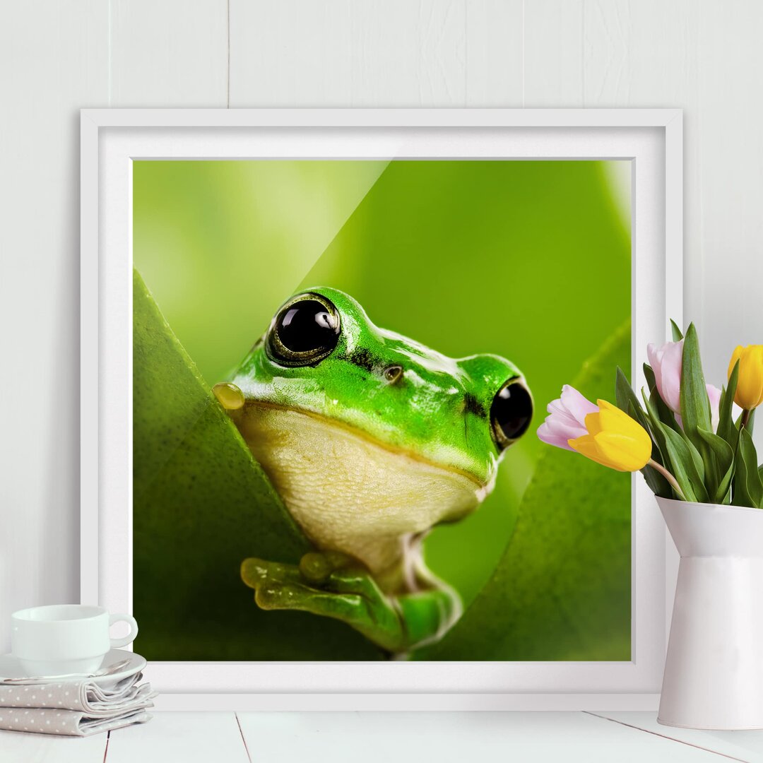 Gerahmtes Papierbild Wetterfrosch