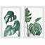 Diptyque à feuilles fendues-63364784
