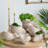 Sand and Cement Nautilus Shell Planter with Textured Beige Finish-782353044