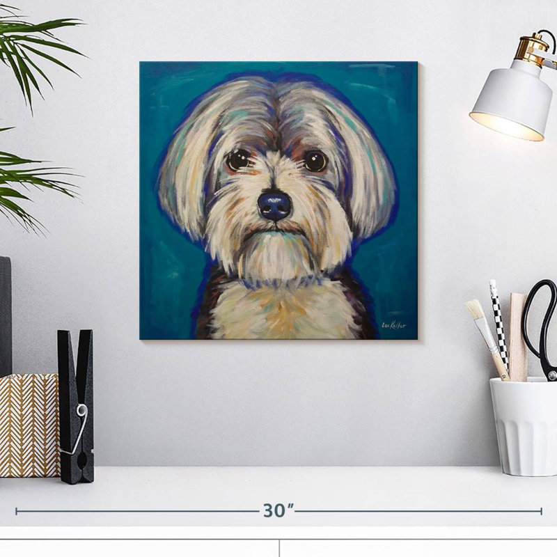 Crowle Maltese Yorkie