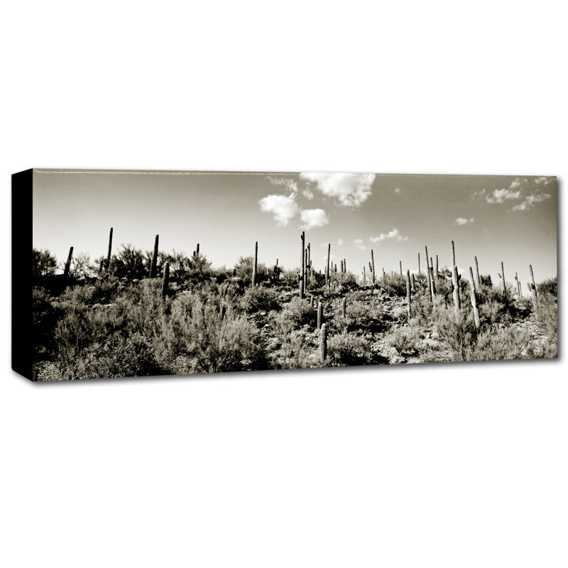 Sepia Desert Landscape Canvas Art with Wood Frame