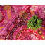 Tapis contemporain Mulvihill couleur magenta-278310388