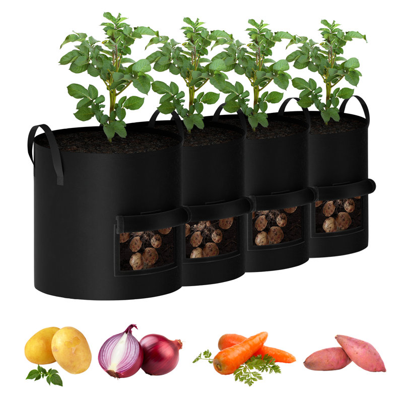 BTY Hydroponic Unit, Black