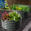 Ensemble de 2 lits de jardin surélevés galvanisés de 4 pi x 18 po - Boîtes à fleurs en métal antirouille et durables pour les légumes, les fleurs et les herbes-1370441403