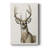 Handsome Whitetail I -Custom Wrapped Gallery Cavas