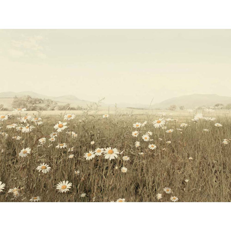 Lan Winstanley - Print, 60cm H x 80cm W, Linen