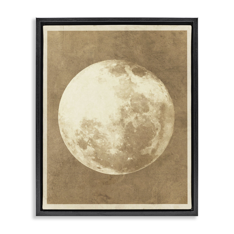 «Rustic Neutral Moon Gray» par Daphne Polselli, Cadre flottant noir de jais, H 21 po x l 17 po