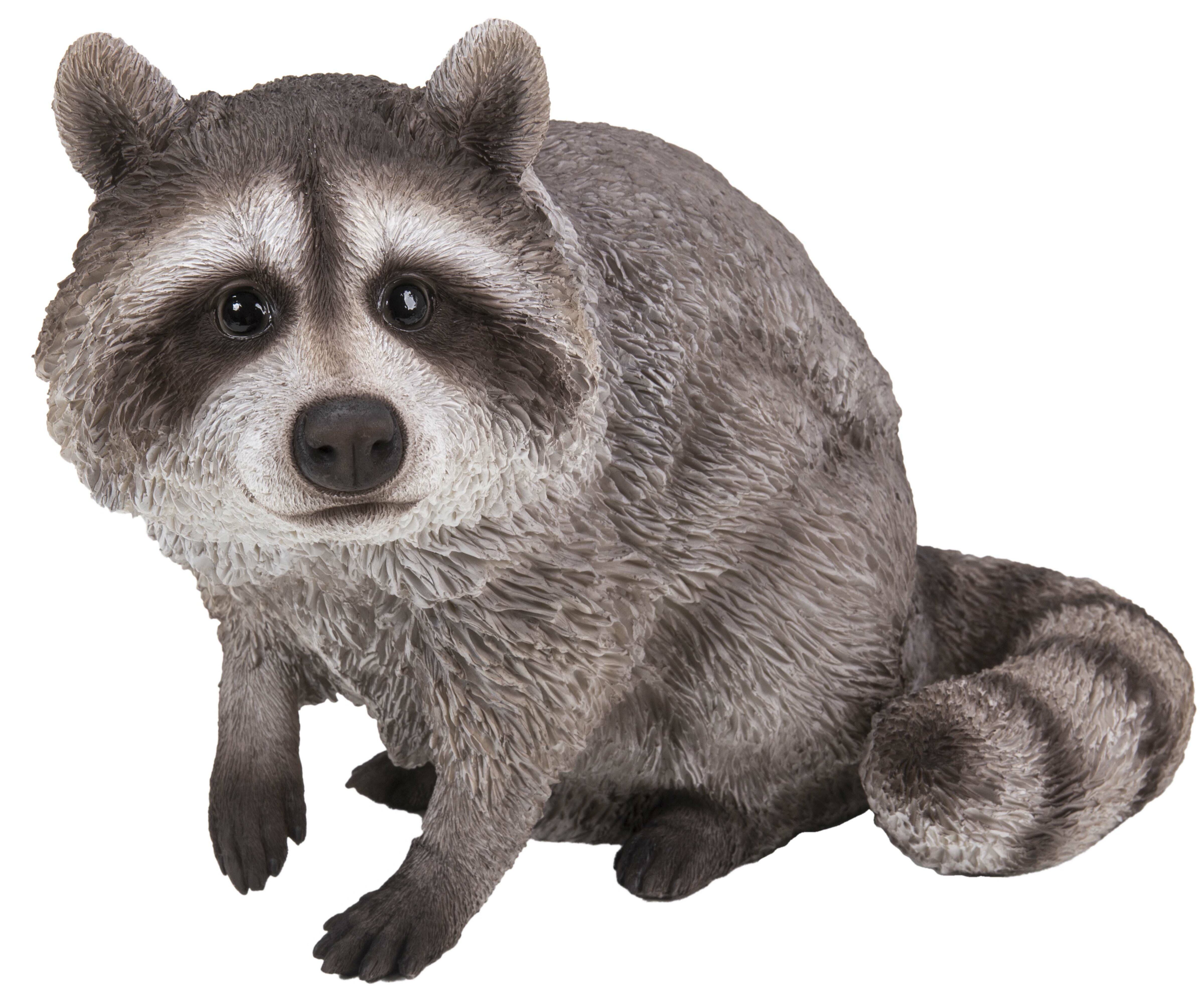 Hi-Line Gift Ltd. Raccoon Sitting Statue & Reviews | Wayfair