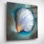 «Clam Shell Glow» par Louise Montillio-226816335