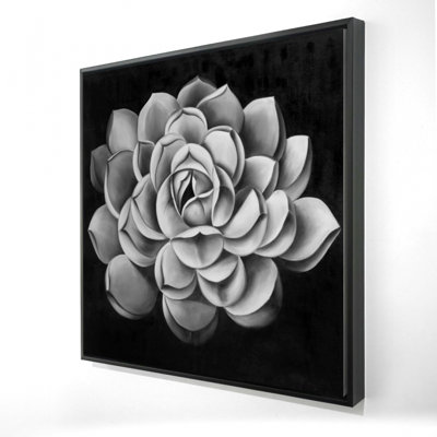 " Black And White Succulent "