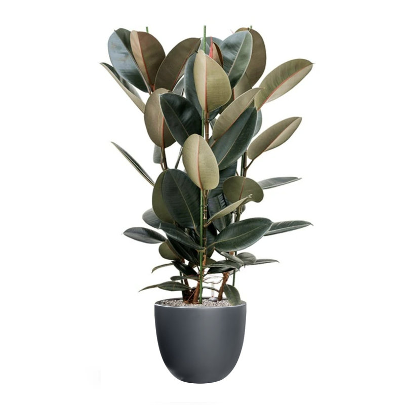 Dorlis Handmade Pot Planter, 15" H x 18" W x 18" D, Charcoal