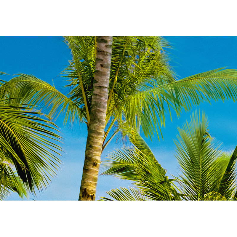 Tahiti Holiday Wall Mural