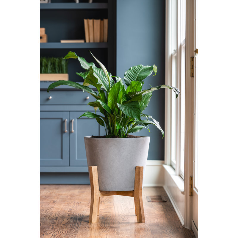Jardinière contemporaine 16 po avec support, Gris