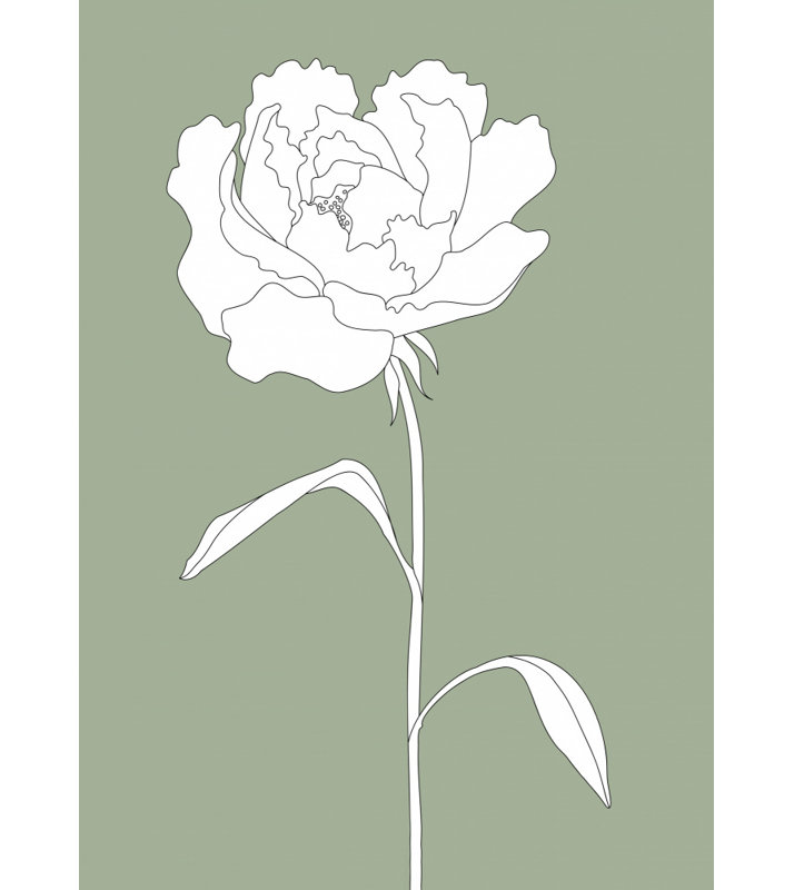 Wrapped Canvas Print, 121.92 cm H x 81.28 cm W