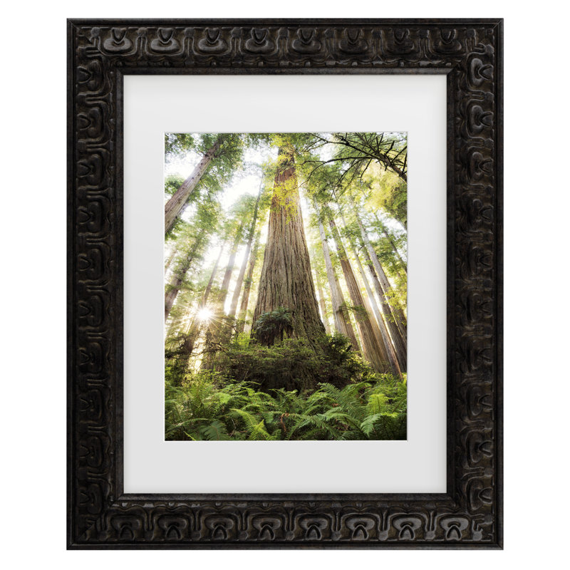 Bolog Stefan Hefele  Beautiful Forest Matted Framed Art