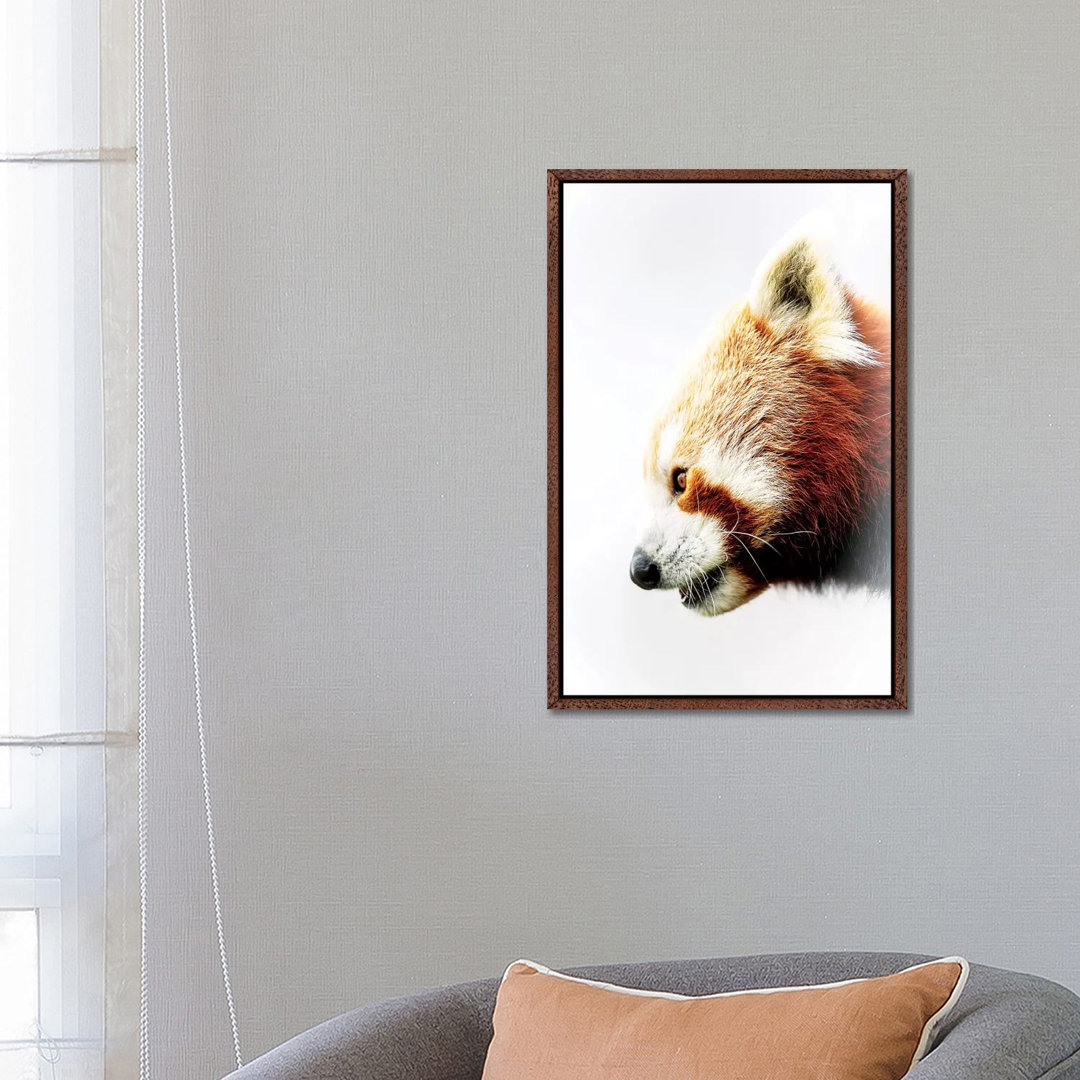 Roter Panda von David Whelan - Galerie-verpackte Leinwand Giclée auf Leinwand