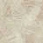 Beige et terre cuite
