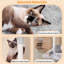136cm H Cat Tree-664204762