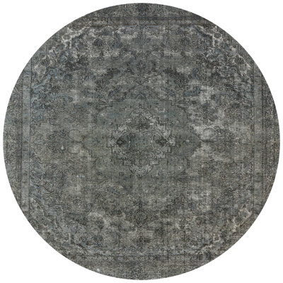 Shellie Oriental Indoor Rug